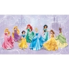 Picture of Disney Princess Royal Debut XL Spray and Stick Wallpaper Mural