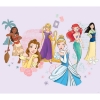 Picture of Disney Princess Tapestry