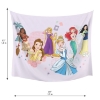 Picture of Disney Princess Tapestry