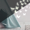 Picture of Butterflies & Dragonflies Glow in the Dark Wall Decals