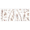 Picture of Dogwood Flowers Wall Decals