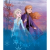 Picture of Disney Frozen II Destiny Awaits Tapestry