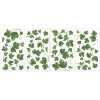 Picture of Evergreen Ivy Wall Decals