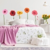 Picture of Gerber Daisies Giant Wall Decals