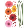 Picture of Gerber Daisies Giant Wall Decals