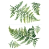 Picture of Watercolor Fern Peel and Stick Giant Wall Decals