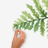 Picture of Watercolor Fern Peel and Stick Giant Wall Decals