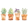 Picture of Watercolor Potted Herbs Peel and Stick Wall Decals