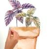 Picture of Watercolor Potted Herbs Peel and Stick Wall Decals