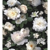 Picture of Black Photographic Floral Peel and Stick Mural