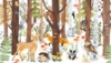 Picture of Forest Animal Hide & Seek Peel & Stick Wall Mural