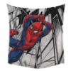 Picture of Spider-Man Tapestry