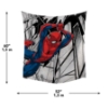 Picture of Spider-Man Tapestry