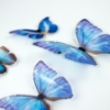 Picture of Blue Butterfly Embellishments