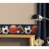 Picture of Sports Balls Peel and Stick Border