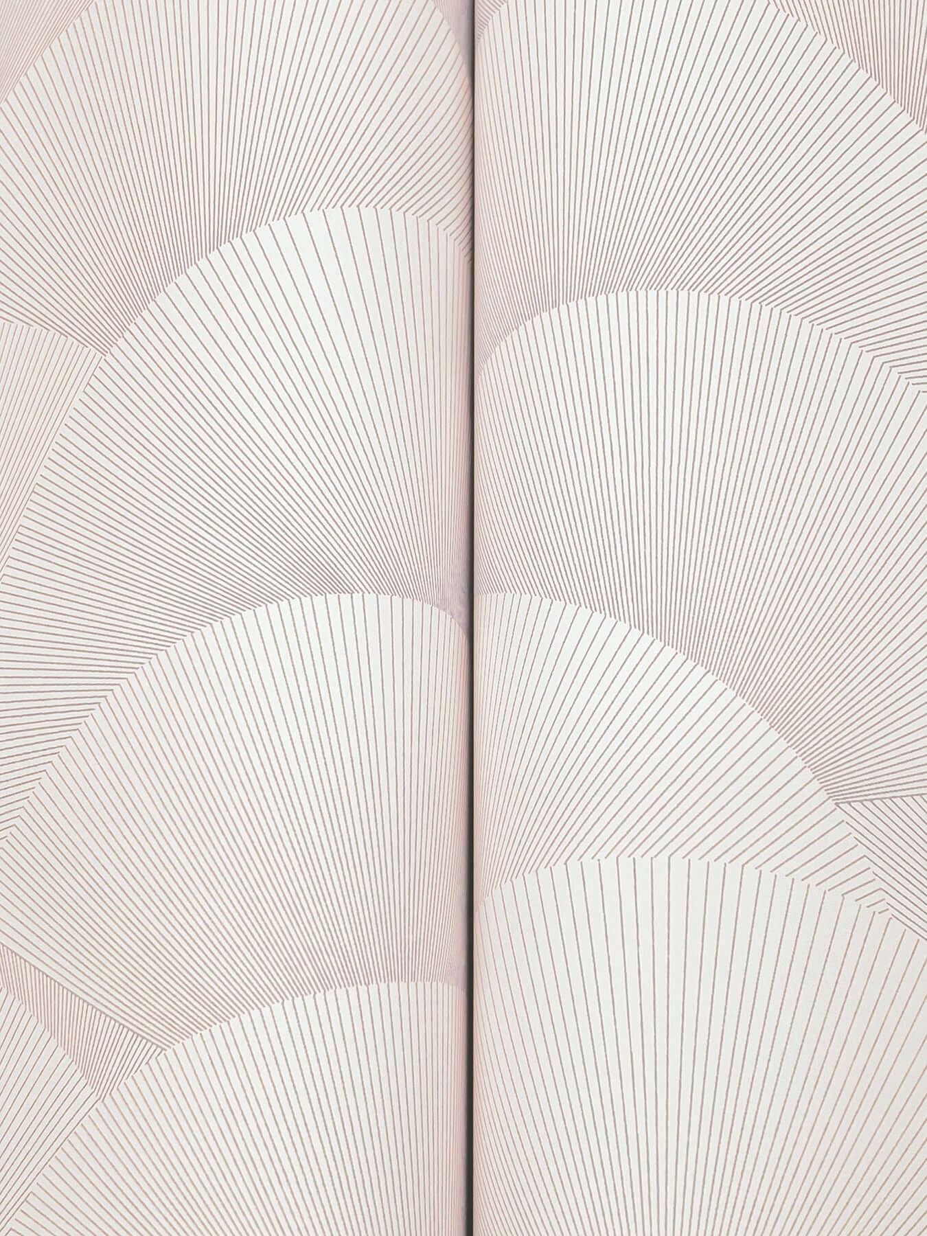 York Wallcoverings. Blush Morning Shell Wallpaper | Ronald Redding
