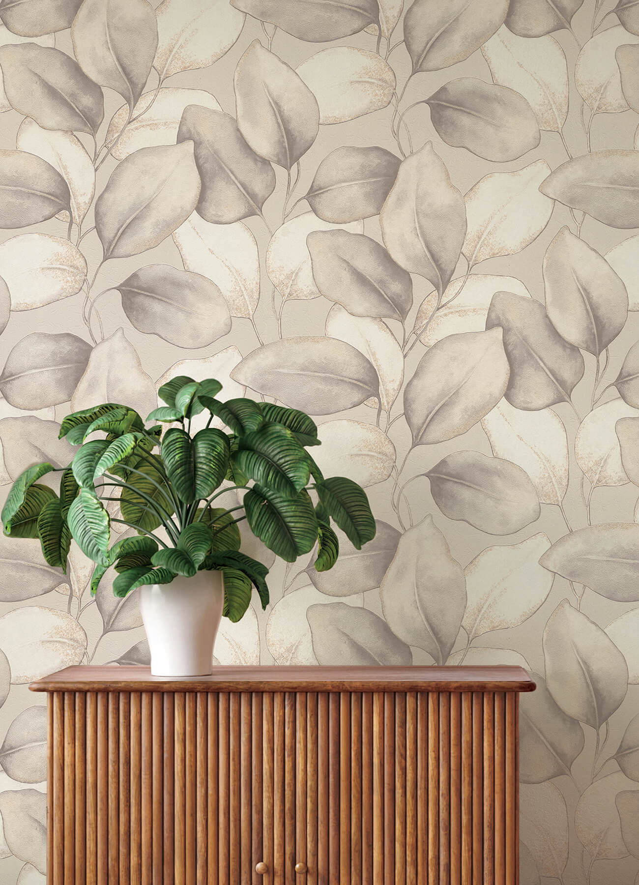 4202-659856 - Evanthe Grey Vine Wallpaper - by A-Street Prints