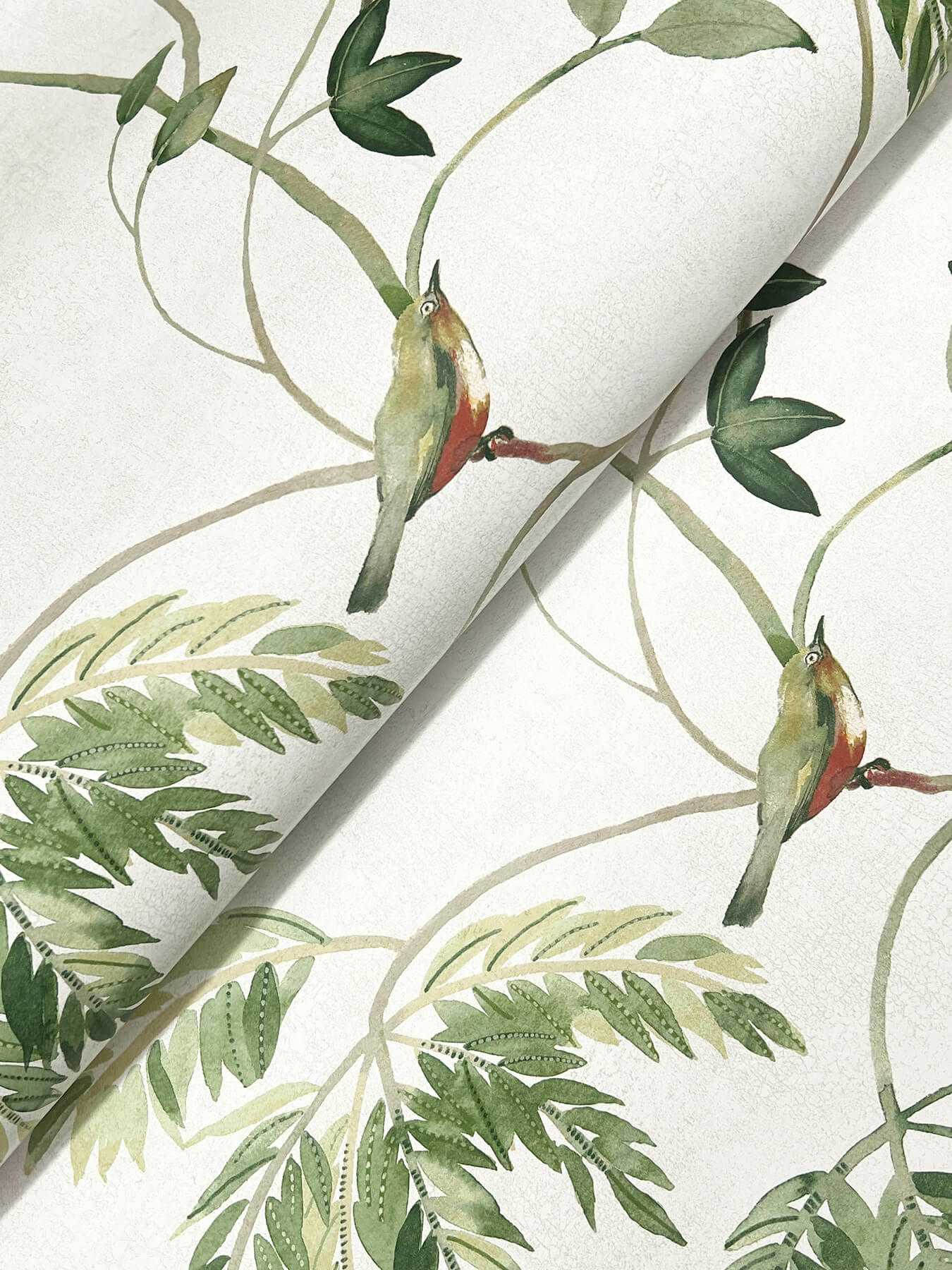 York Wallcoverings. LL3250 - Cillian Green Botanical Bird Trail ...