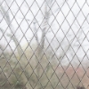 Picture of Chris Loves Julia x WallPops Cora Clear Static Cling Window Film