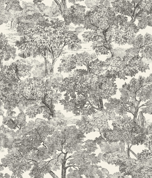 Picture of Spinney Black Toile Wallpaper