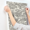 Picture of Spinney Black Toile Wallpaper